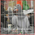 Hot Sale New Design Pigeon Crates For Sale